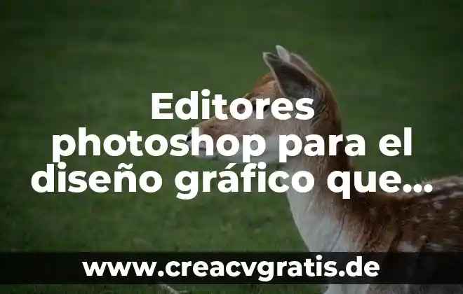 Qué es un organizador gráfico ejemplos nombres 7 Editores photoshop para el diseño gráfico que es