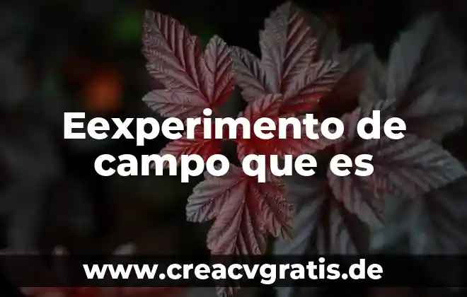 Que es la propiedad de campo 7 Eexperimento de campo que es