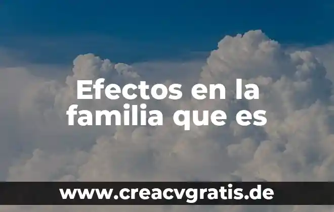 Qué es el régimen voluntario para efectos del IMSS 4 Efectos en la familia que es