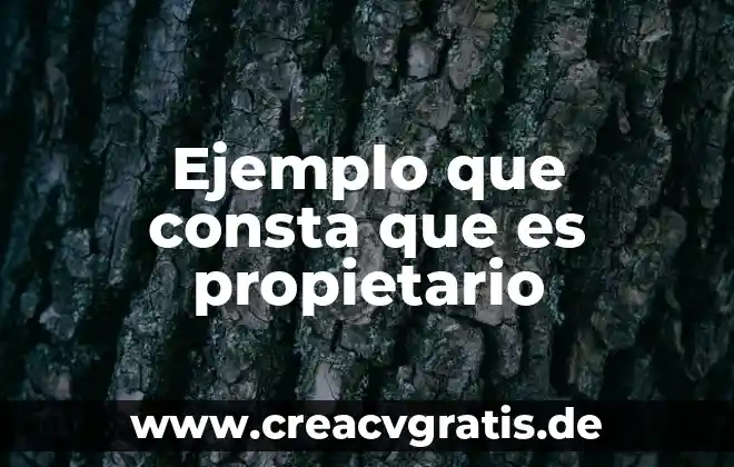 Qué es una filosofía empresarial ejemplo 4 Ejemplo que consta que es propietario