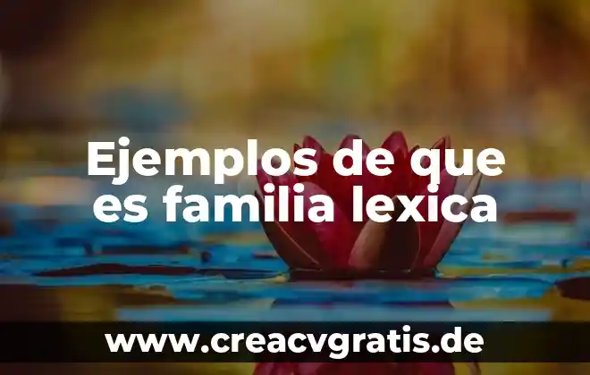 Que es la precisión lexica ejemplos 4 Ejemplos de que es familia lexica