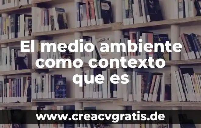 Que es un ambiente globalizado 4 El medio ambiente como contexto que es