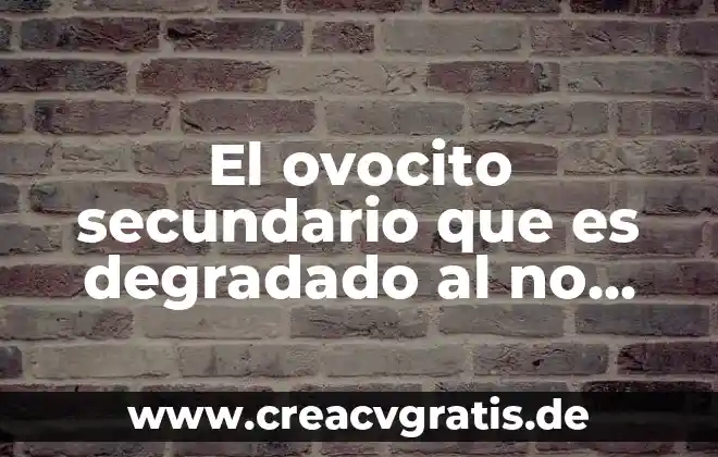 Qué es un estándar primario y secundario en titulación 4 El ovocito secundario que es degradado al no ser fecundado