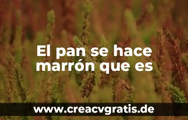 Que es estar a pan y agua 6 El pan se hace marrón que es