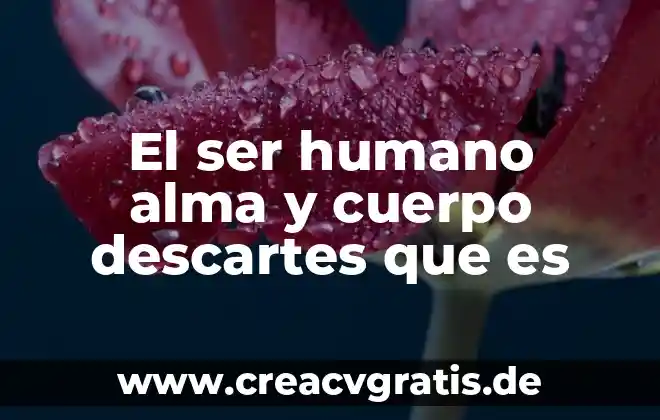 Qué es género literario hizo Descartes 3 El ser humano alma y cuerpo descartes que es