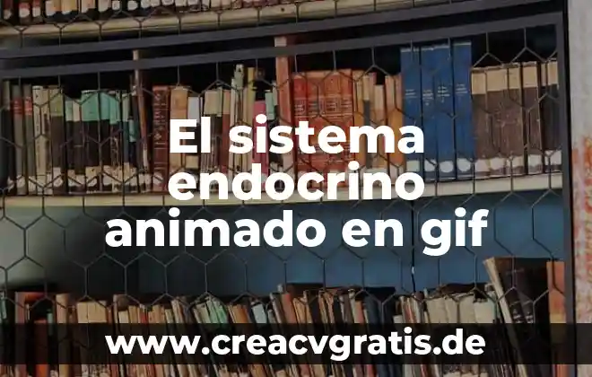 Qué es un sistema político concepto 3 El sistema endocrino animado en gif