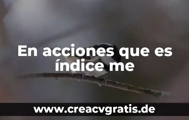 Que es el indice nikke 3 En acciones que es índice me