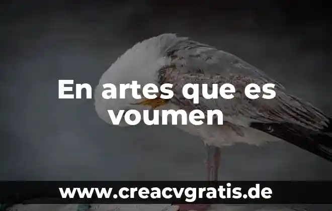Que es romanico en artes 5 En artes que es voumen