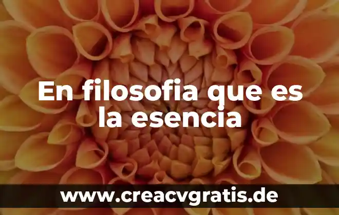 Qué es semejanza y cuáles son los tipos 8 En filosofia que es la esencia