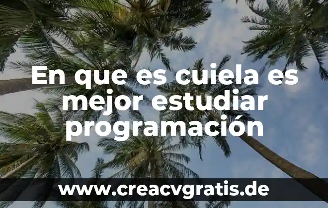 Que es mejor estudiar aleman o italiano 7 En que es cuiela es mejor estudiar programación