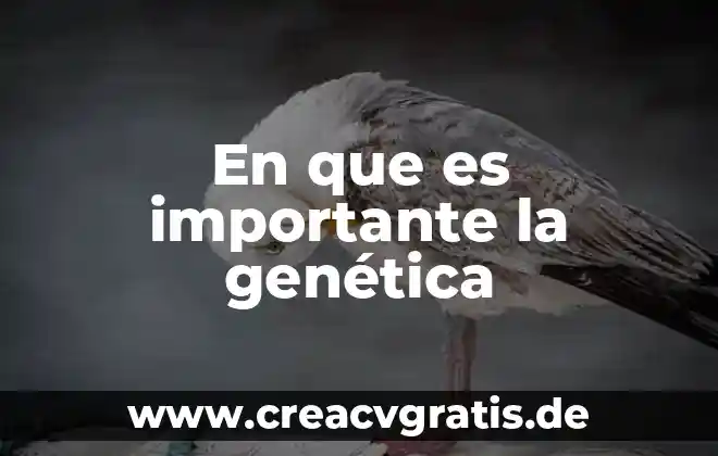 Qué es séquito significado 4 En que es importante la genética