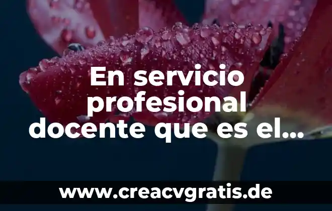 Educación docente qué es o concepto 3 En servicio profesional docente que es el proyecto venus