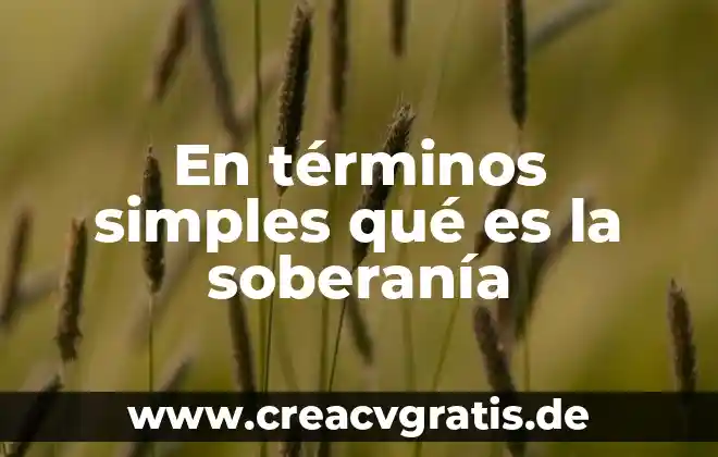 Qué es la globalización en términos simples 3 En términos simples qué es la soberanía