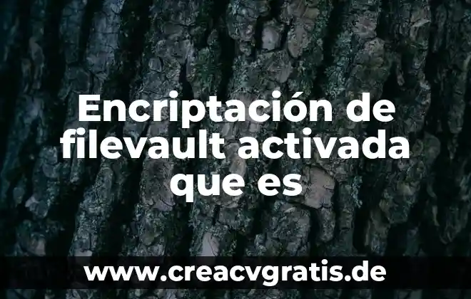 Alegoría de la fortuna que es 4 Encriptación de filevault activada que es
