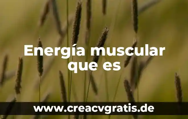 Que es una lesion muscular y que tipos existen 8 Energía muscular que es
