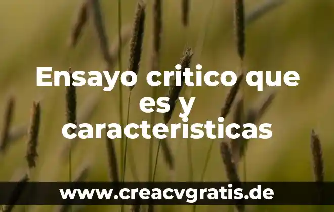 Que es el pensamiento critico psicologia 8 Ensayo critico que es y caracteristicas