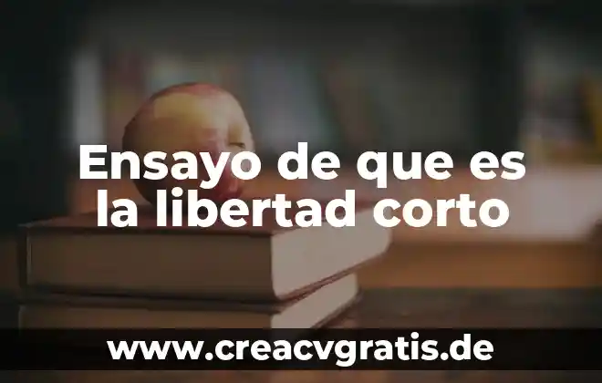 Que es derecho a la libertad de informacion 3 Ensayo de que es la libertad corto