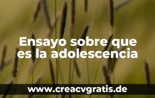 Que es el proceso de duelo en la adolescencia 4 Ensayo sobre que es la adolescencia