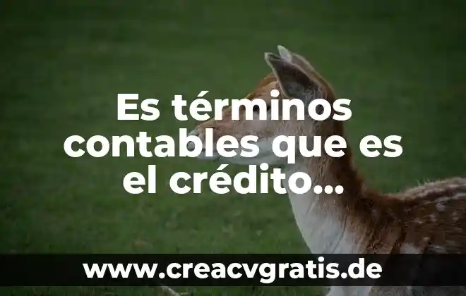 Qué es una sociedad mercantil en contabilidad 8 Es términos contables que es el crédito mercantil