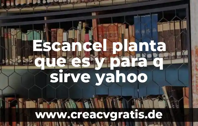 En pocas palabras que es catabolismo yahoo 4 Escancel planta que es y para q sirve yahoo