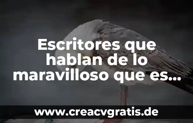 Qué es la visión para un proyecto de vida 3 Escritores que hablan de lo maravilloso que es la vida