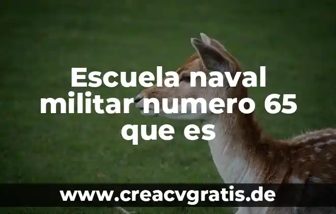 Qué es el número de orden en una factura 3 Escuela naval militar numero 65 que es