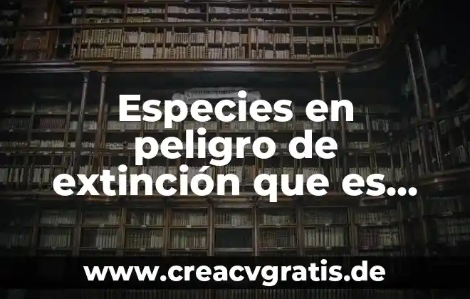 Que es peligro significado 3 Especies en peligro de extinción que es significado