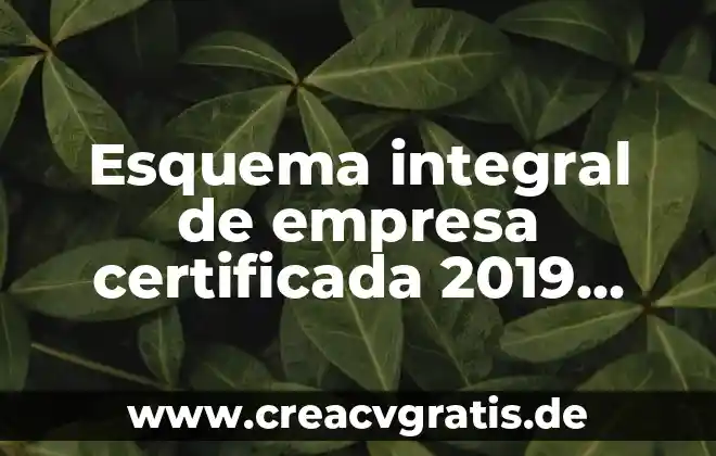 Que es una percepción integral en un archivo multimedia 8 Esquema integral de empresa certificada 2019 que es