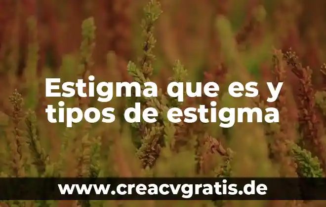 Que es la comunicacion tipos ejemplificados 5 Estigma que es y tipos de estigma