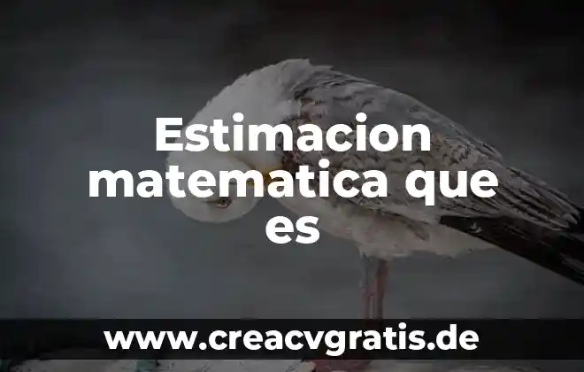 Que es monto y capital en matematica financiera 4 Estimacion matematica que es