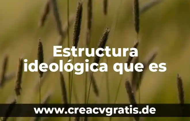 Qué es un problema y su estructura 8 Estructura ideológica que es