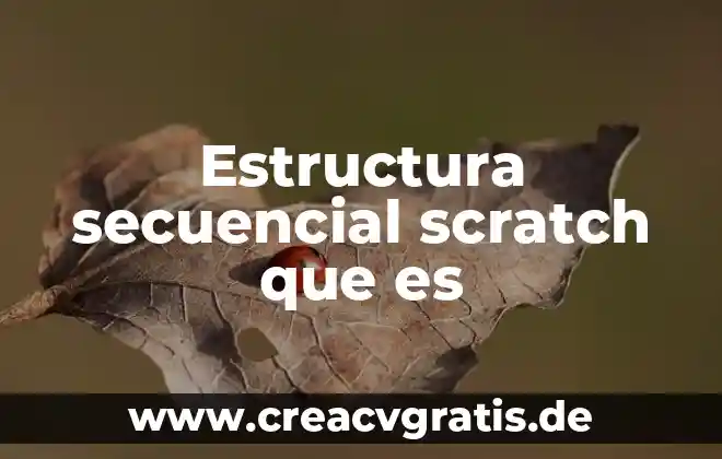 Que es la estructura de las particulas subatomicas 5 Estructura secuencial scratch que es