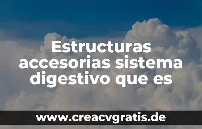 Qué es un dir en estructuras 4 Estructuras accesorias sistema digestivo que es