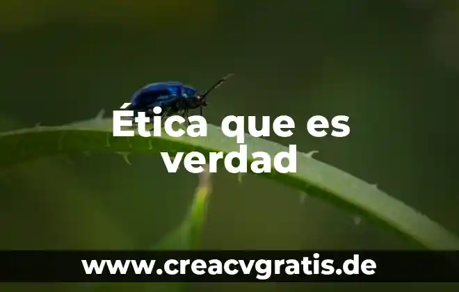 Que es negligencia etica 4 Ética que es verdad