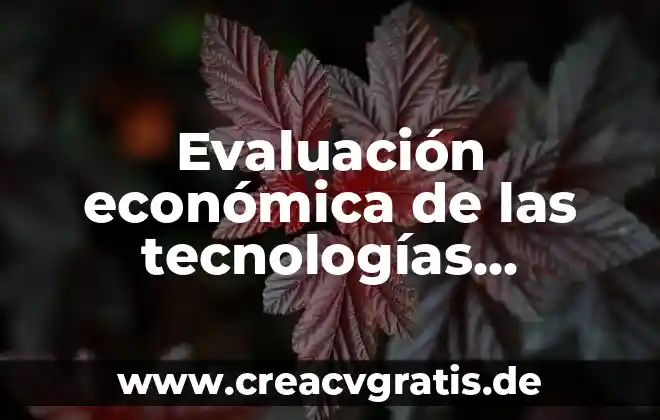 Qué es la Asociación Mexicana de Ferrocarriles 7 Evaluación económica de las tecnologías sanitarias que es