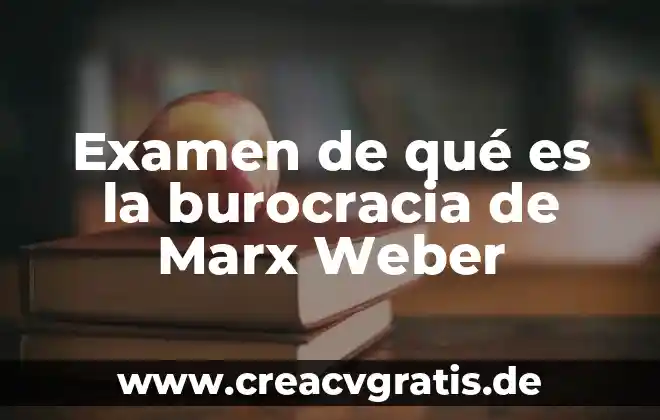 Max Weber que es la burocracia resumen 5 Examen de qué es la burocracia de Marx Weber
