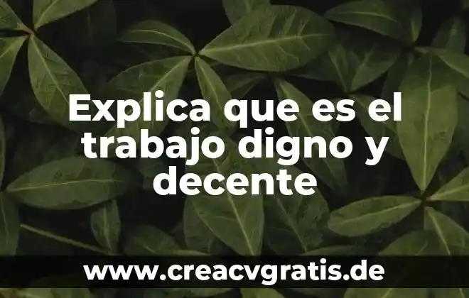 Que es ser digno como persona 6 Explica que es el trabajo digno y decente