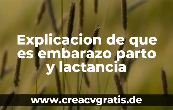 Que es un parto introducido 4 Explicacion de que es embarazo parto y lactancia