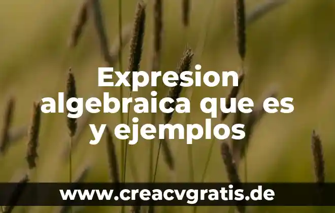 Que es ese chorrito de sangre que sale 4 Expresion algebraica que es y ejemplos