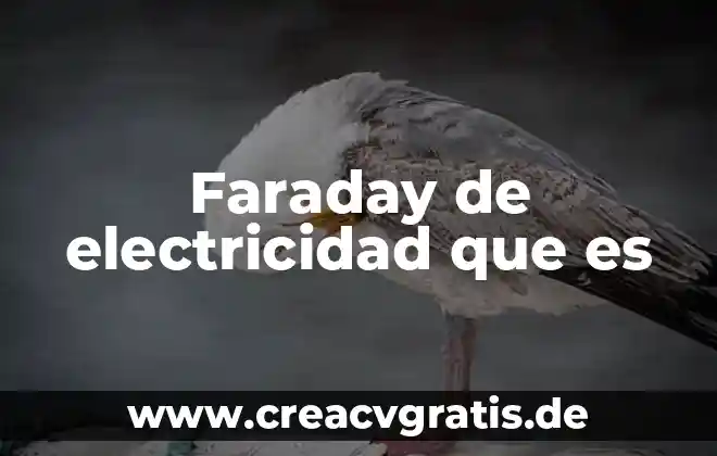 Qué es un contacto trifásico símbolo de electricidad 6 Faraday de electricidad que es