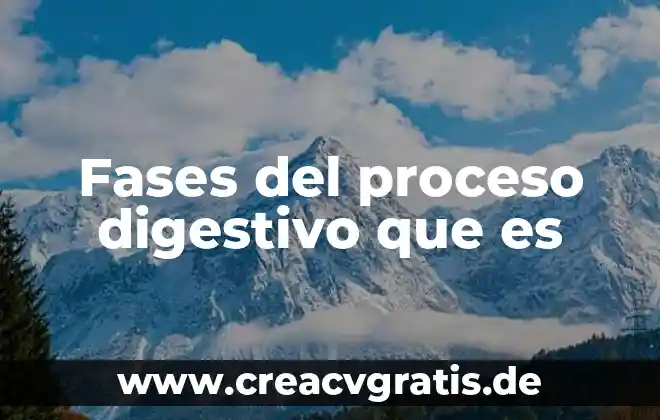 Que es un proyecto tipos y fases integran 4 Fases del proceso digestivo que es