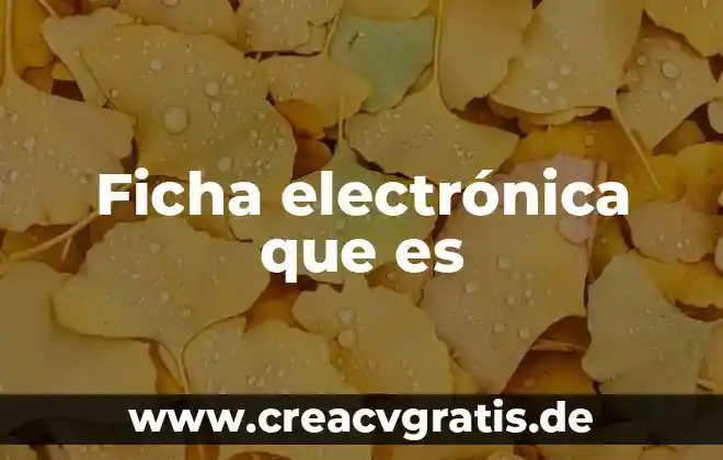 Que es una ficha de trabajo y ejemplo 3 Ficha electrónica que es