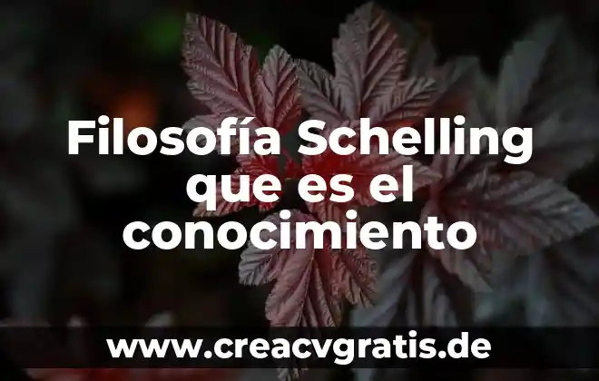 Que es la divinidad en filosofía 3 Filosofía Schelling que es el conocimiento