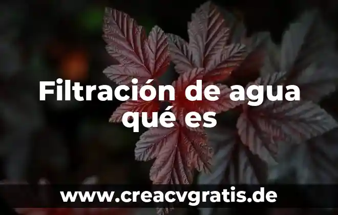 Lagunas y depósitos de agua que es 5 Filtración de agua qué es