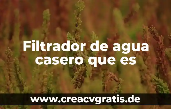 Que es el agua dulce 7 Filtrador de agua casero que es