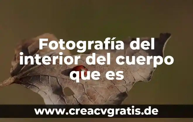 Que es el cuidado de tu cuerpo 7 Fotografía del interior del cuerpo que es