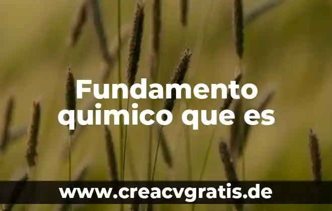 Consulta que es una bodega y para que sirve 4 Fundamento quimico que es