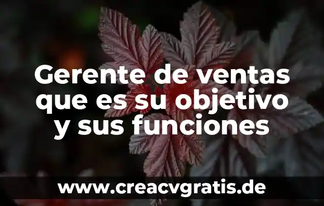 Que es lo que hace el gerente de venta 4 Gerente de ventas que es su objetivo y sus funciones