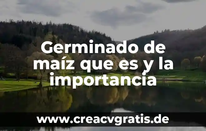 Definamos lo que es el honor y su importancia 5 Germinado de maíz que es y la importancia