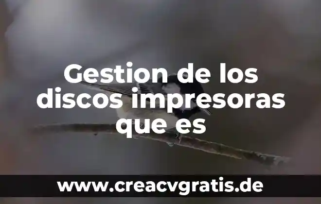 Que es analista de gestion 7 Gestion de los discos impresoras que es